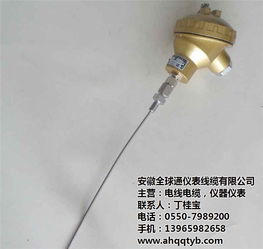 耐磨铠装热电偶价格解析与安徽全球通在线咨询指南
